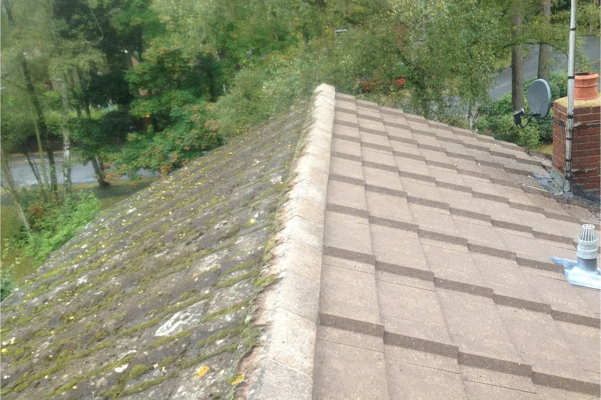 Before and after roof cleaning result