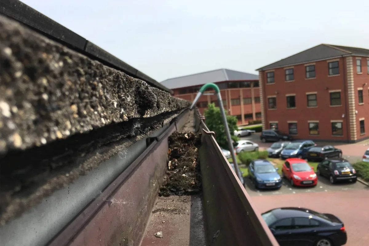 Commercial Gutter Cleaning