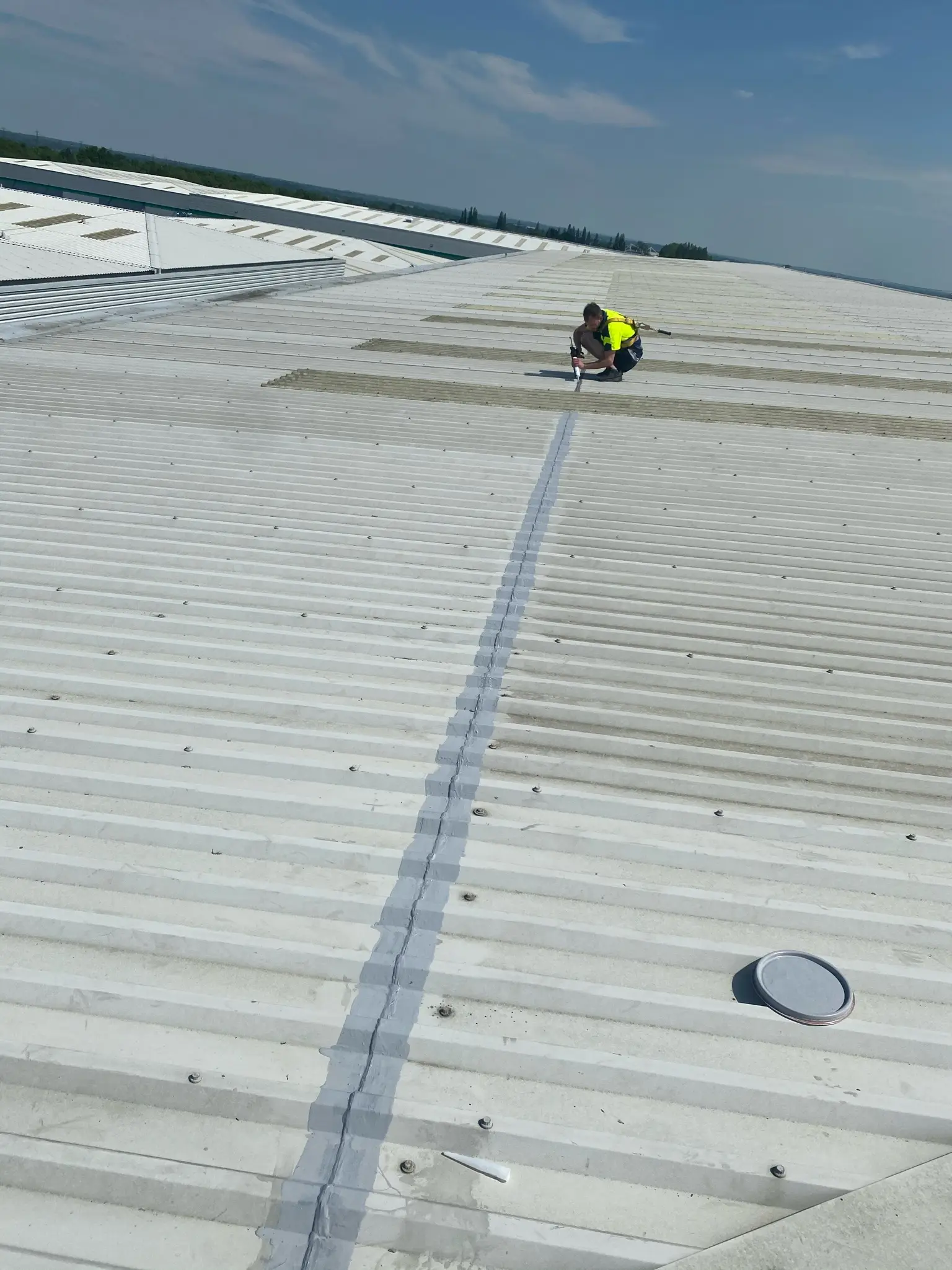 Commercial Cut Edge Restoration